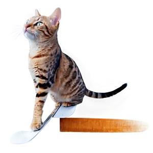 Athletic Cat Meme PNG 05212024
