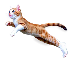 Athletic Cat Meme PNG Jou41