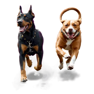 Athletic Dogs PNG 65