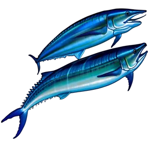Atlantic Blue Marlin PNG 62