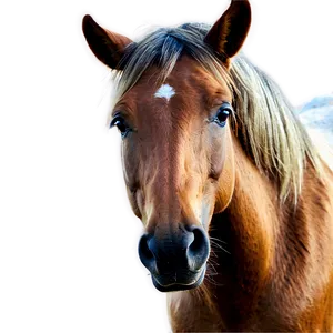 Atmospheric Horse Head Feature PNG Dvl PNG