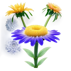 Attractive Daisy Representation Png Bqj96 PNG image