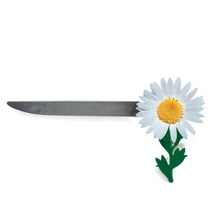 Attractive Daisy Representation Png Ihn PNG image