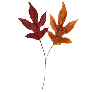 Auburn Autumn Leaves Png Sxt PNG image