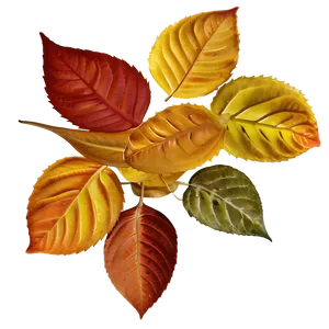 Auburn Autumn Leaves Png Uys PNG image