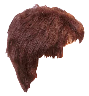 Auburn Hair Wig Isolated PNG