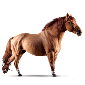 Auburn Horse Mane Png 50 PNG image