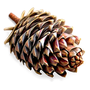 Auburn Pine Cone Png 06252024 PNG image