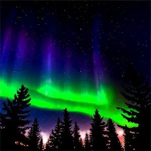 Aurora Borealis Through Pine Trees PNG 16 PNG