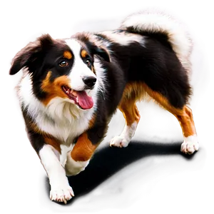 Australian Shepherd Barking Png Uts46 PNG image