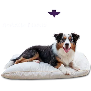 Australian Shepherd In Bed Png Hbf PNG image