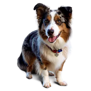 Australian Shepherd In Costume PNG 87