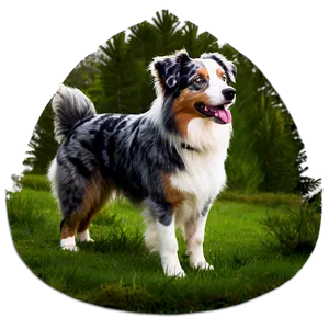 Australian Shepherd In Forest Png 06202024 PNG image