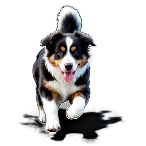 Australian Shepherd Running PNG Vdo70 PNG