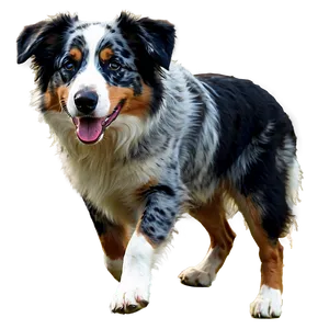 Australian Shepherd With Ball PNG Qaa