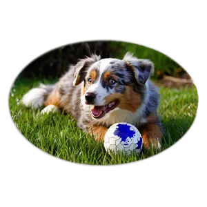 Australian Shepherd With Ball PNG Xjb PNG