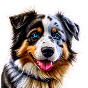 Australian Shepherd With Blue Eyes PNG Pqd PNG