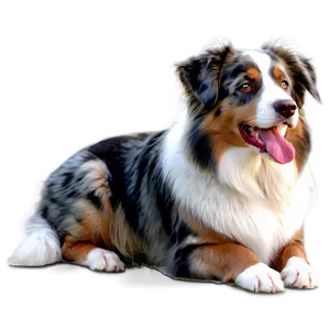 Australian Shepherd With Flowers PNG 57