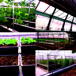 "automated Greenhouse Systems PNG" 88