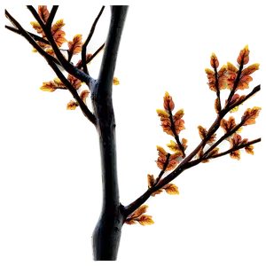 Autumn Branches Png Ohv24 PNG image