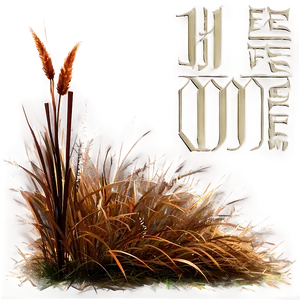 Autumn Brown Grass Png 04292024 PNG image