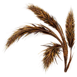 Autumn Brown Grass Png 42 PNG image