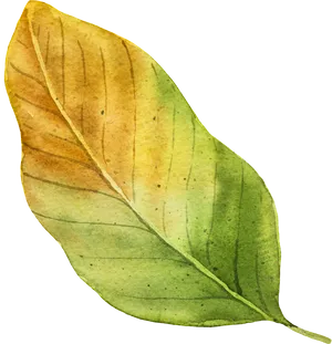Autumn Gradient Leaf PNG image