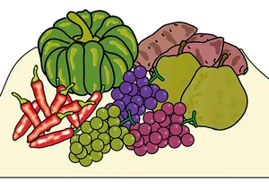 Autumn Harvest Illustration PNG