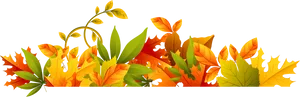 Autumn_ Leaf_ Border_ Design PNG image