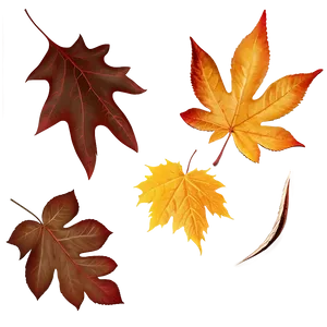 Autumn Leaf Collection Png Iqg PNG image