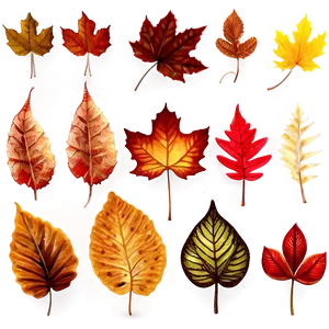 Autumn Leaf Collection Png Jyx PNG image