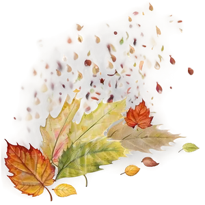 Autumn Leaf Pile Png 39 PNG image