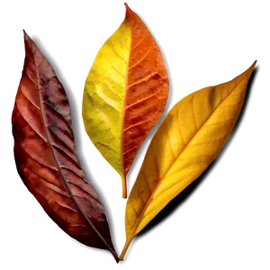 Autumn Leaf PNG 05032024