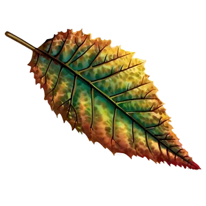 Autumn Leaf PNG 05032024