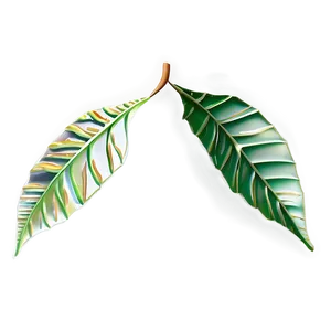 Autumn Leaf PNG 05032024