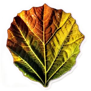 Autumn Leaf Sticker Png 66 PNG image