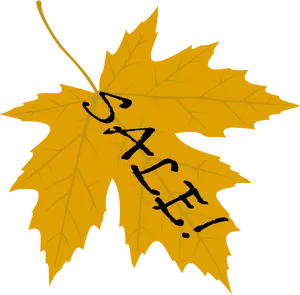 Autumn_ Leaf_with_ Scribble PNG image