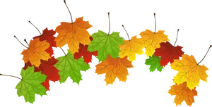 Autumn_ Leaves_ Against_ Black_ Background PNG image