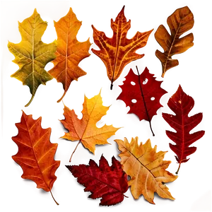 Autumn Leaves Background Png Erw3 PNG image