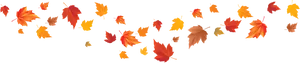 Autumn_ Leaves_ Black_ Background PNG image