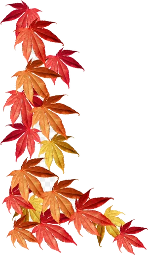 Autumn Leaves Border Design PNG