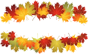 Autumn_ Leaves_ Border_ Vector PNG image