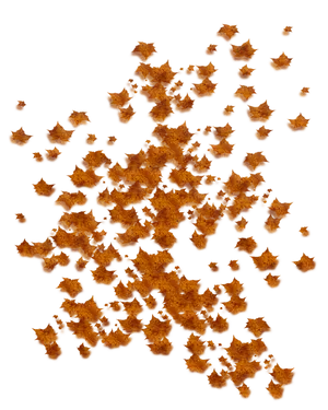 Autumn Leaves Cascade PNG image