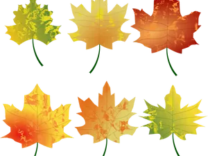 Autumn_ Leaves_ Collection PNG image
