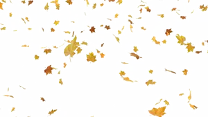 Autumn_ Leaves_ Falling_ Pattern PNG image