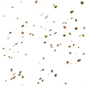Autumn Leaves Falling Sky Background PNG
