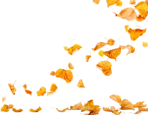 Autumn_ Leaves_ Falling_ Transparent_ Background.png PNG image