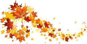 Autumn_ Leaves_ Falling_ Vector PNG image