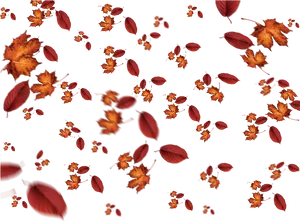 Autumn Leaves Floatingin Darkness PNG image
