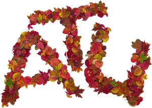 Autumn_ Leaves_ Forming_ Letters_ A B C PNG image